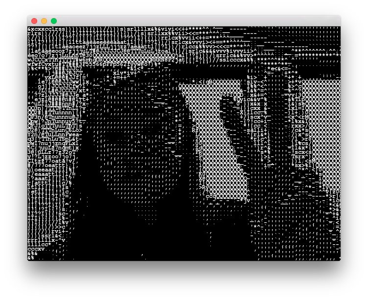 Screenshot of asciiVideoExample